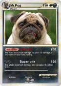 Mr.Pug