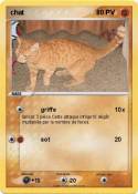 chat