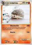 Cute hedgehog