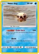 Water dog