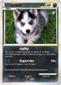 kleekai