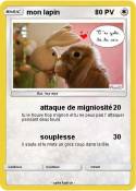 mon lapin