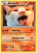 Burning Cat
