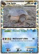 Fat Turtle