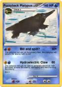 Fuzzyback Platy