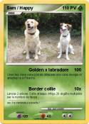 Sam / Happy