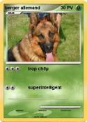 berger allemand