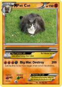 Fat Cat