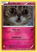 Car the cat