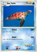 Sea Turtle