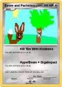 Eevee and Pachi