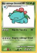 big cabbage