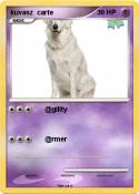 kuvasz carte