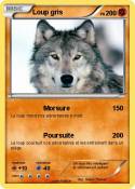 Loup gris