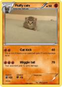 Fluffy cats
