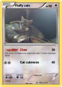 Fluffy cats