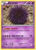 psy urchin