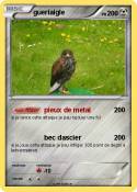 gueriaigle