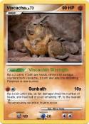 Viscacha
