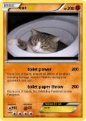 cat