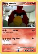 Angry bird