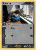 Sniper cat
