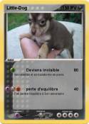 Little-Dog