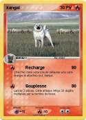 kangal