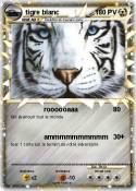 tigre blanc