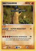 MARTOGUERRE