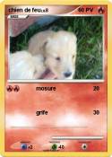 chien de feu