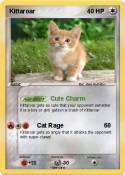 Kittaroar