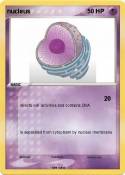 nucleus