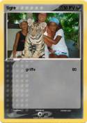 tigre