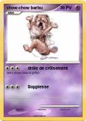 chow-chow barbu