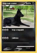 loup noir crois