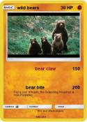 wild bears