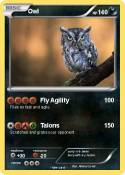 Owl