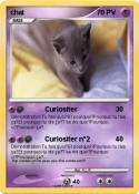 chat