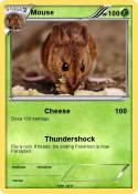 Mouse