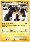 berneseon