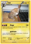 chat