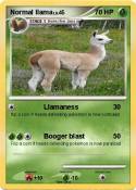 Normal llama