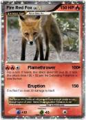 Fire Red Fox