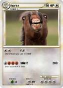horse