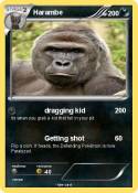 Harambe