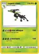 zygard chien