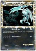 zekrom et reshi