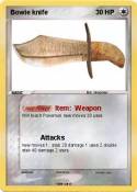 Bowie knife