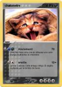 chatonetre